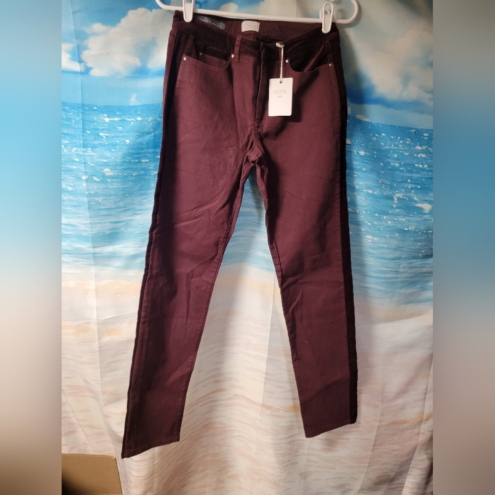 Ecru NWT‎ The Los Feliz Velvet Insert Burgundy Pants Size 26